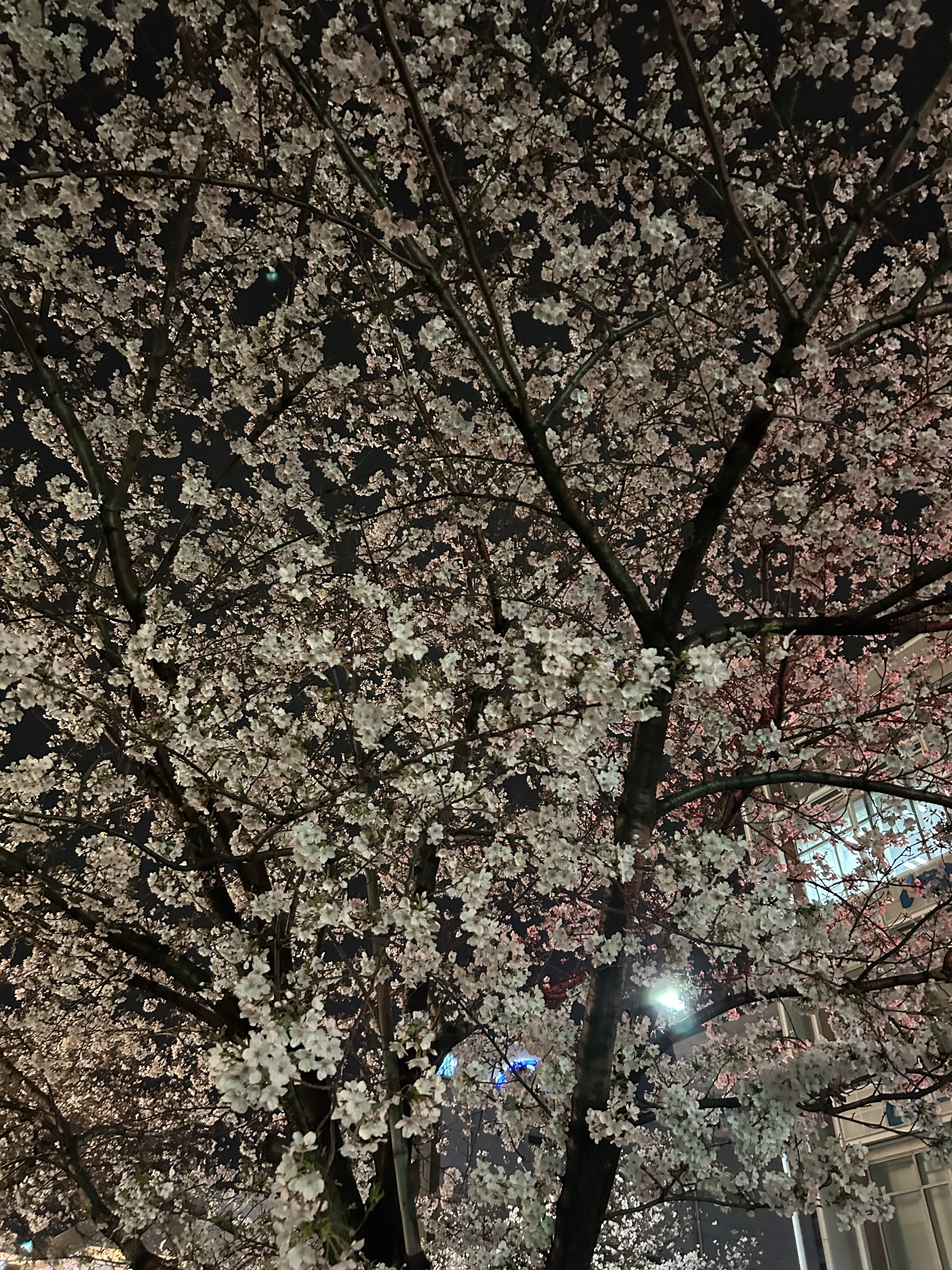 WEB広告の成果が上がらない5つの理由