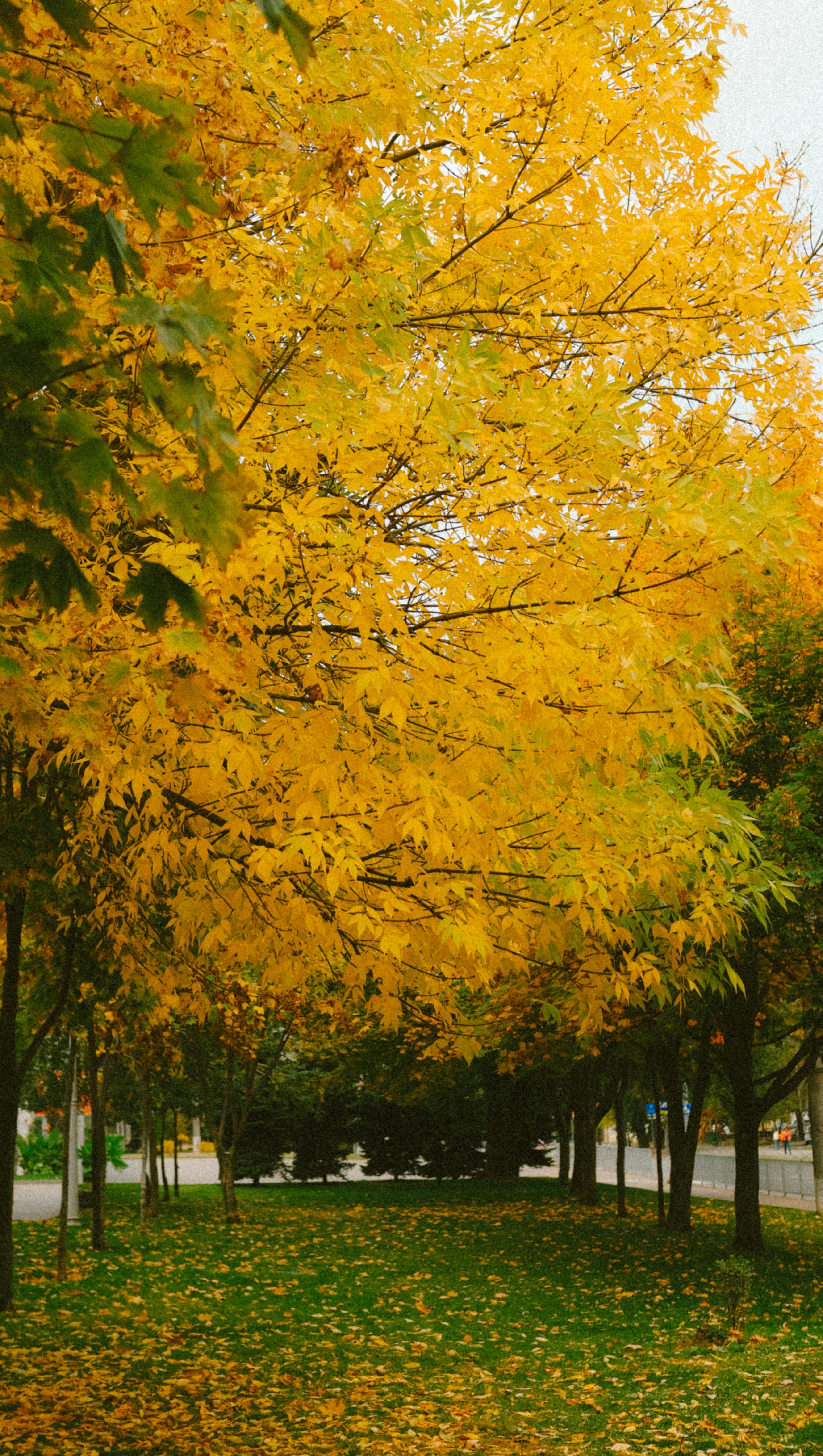 ハウスメーカーHP_注目トピックス